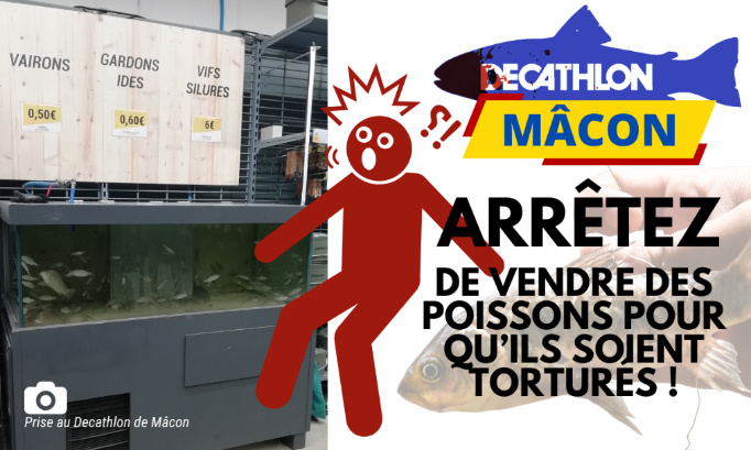 Decathlon Mâcon : arrêtez de vendre des poissons pour qu’ils soient torturés !