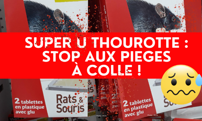 Super U Thourotte (60) : Stop aux pièges à colle !