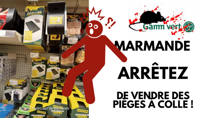 Stop aux pièges à colle dans les magasins Gamm vert de Marmande !