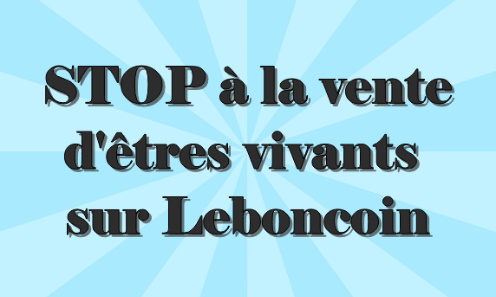 LEBONCOIN doit INTERDIRE les annonces de ventes d'animaux