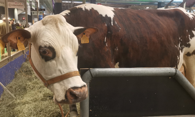 Pour remettre les gratuité au salon de l agriculture pour les personnes handicapées avec une carte d invinlidite