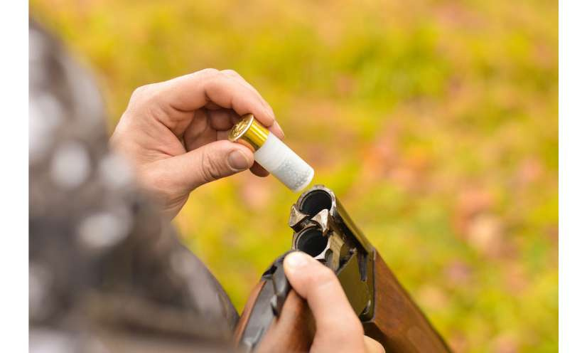 NON au retour de la chasse à la chevrotine !