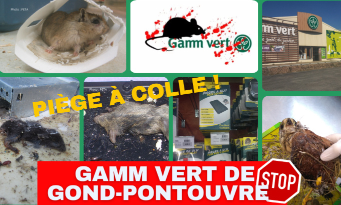 Gamm Vert de Gond-Pontouvre : cessez de vendre des pièges à colle !