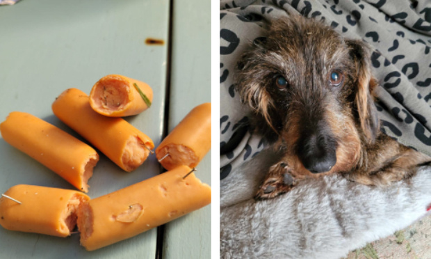 Soutien au couple de Bergerac qui a retrouvé des saucisses piégées dans son jardin