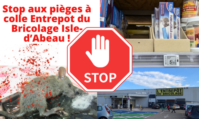 Stop aux pièges à colle à l'Entrepôt du Bricolage de l’Isle d’Abeau