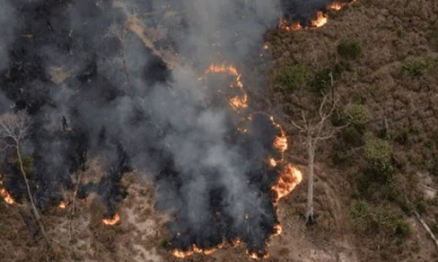 Prévenir les incendies de forêt au Pérou est notre priorité