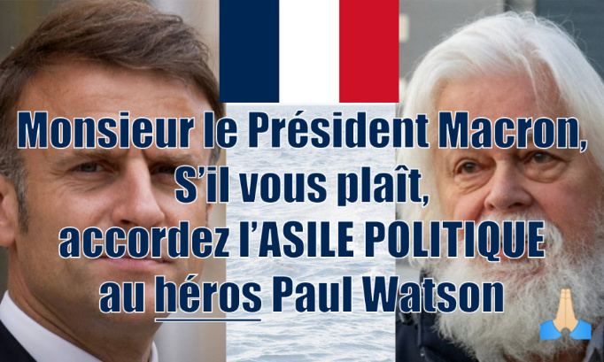 Monsieur le Président Macron, s'il vous plaît, accordez l'asile politique à Paul Watson