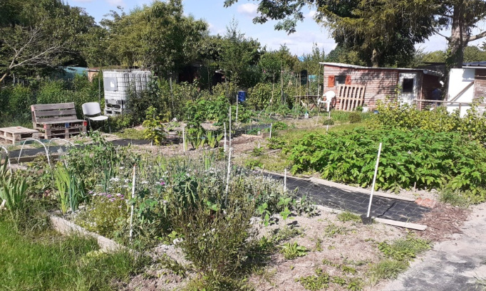 Non à la destruction de jardins potagers ouvriers sur des terres historiquement maraîchères !