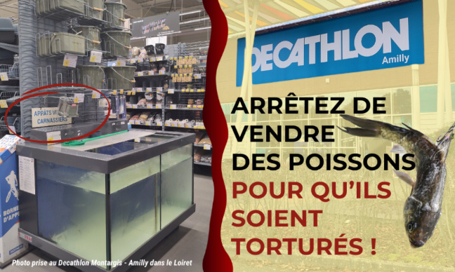 Decathlon Montargis - Amilly : arrêtez de vendre des poissons pour qu’ils soient torturés !