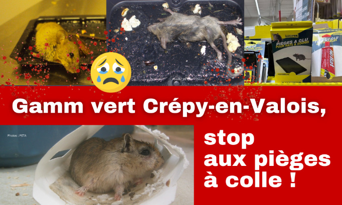 Stop à la vente des pièges à colle chez Gamm vert !