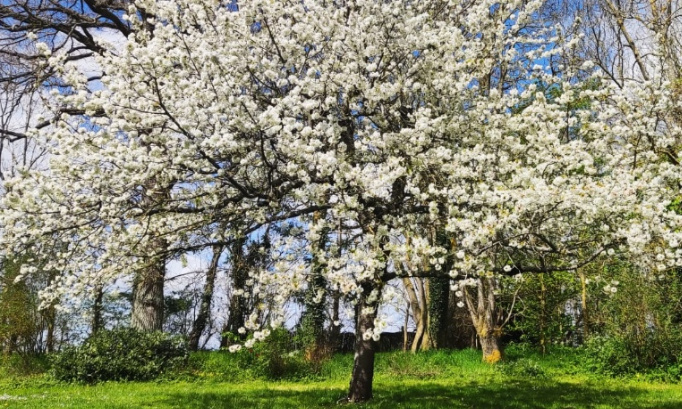 Non à l'implantation d'un parc photovoltaïque à Sébécourt ! Oui à la préservation de notre environnement naturel !