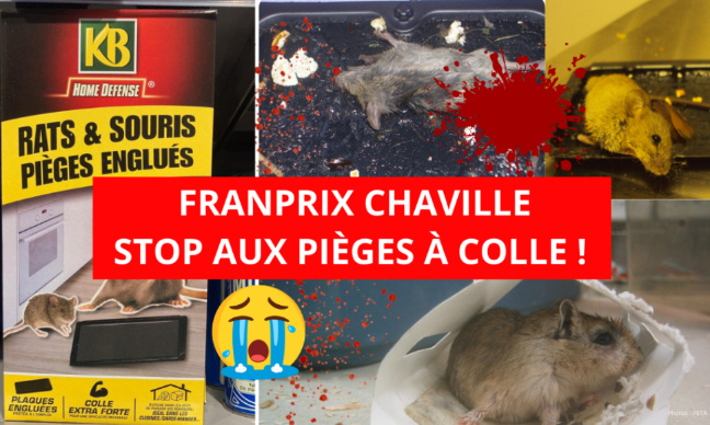 Franprix Chaville rue de Jouy : stop à la maltraitance animale !