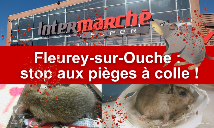 Intermarché Fleurey-sur-Ouche : merci de ne plus vendre de pièges à colle !