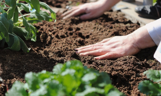 Laissez-lui son jardin : pour qu'une personne autiste puisse conserver son jardin