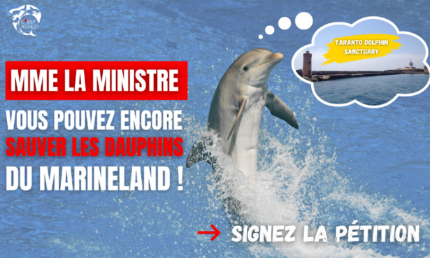 Mme la ministre, vous pouvez encore sauver les dauphins du Marineland !