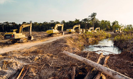 Urgence : stop à la destruction de l'Amazonie péruvienne !