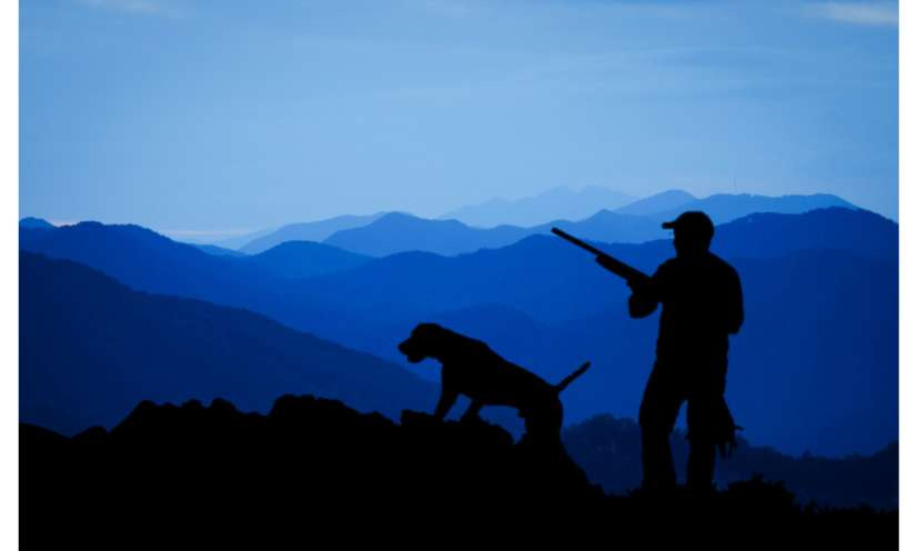 Pour une réglementation plus stricte des armes de chasse