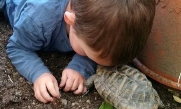 Nous recherchons notre tortue volée et vendue