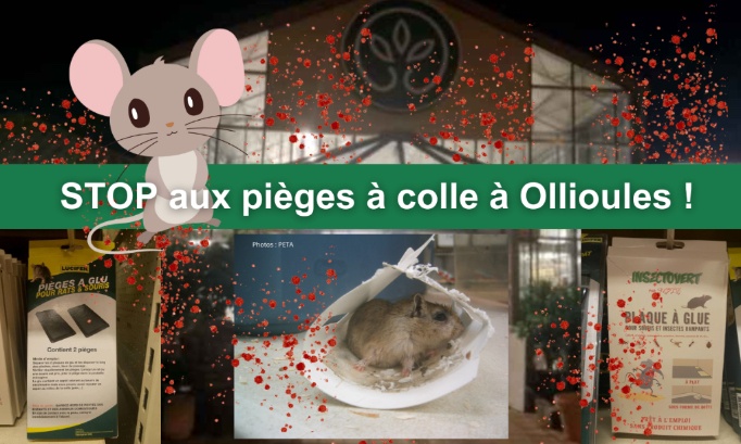 Gamm vert Ollioules merci de ne plus commercialiser de pièges à colle !