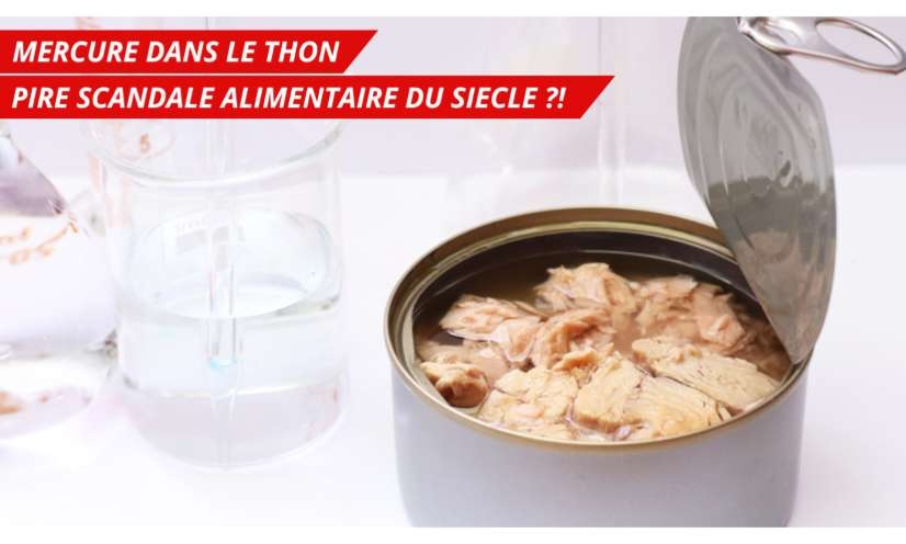 Boîtes de thon contaminées au mercure : STOP aux réglementations laxistes !