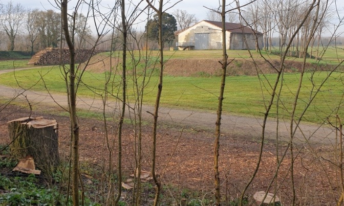 PROTEGEONS LES ARBRES DE LA FILHOLE