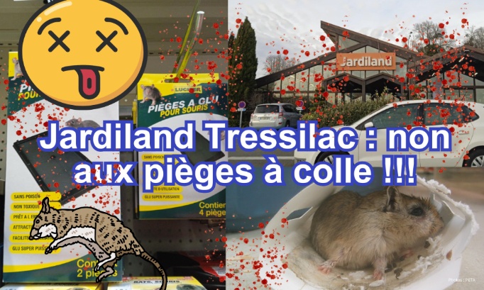 NON à la commercialisation de pièges à colle chez Jardiland Trelissac !