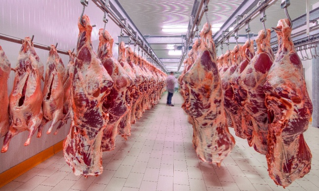 création d'un LABEL QUALITÉ CONSOMMATEUR ' Non aux abattoirs pour les vaches laitières '