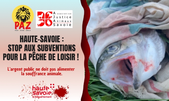 Département de la Haute-Savoie : stop aux subventions au développement du loisir pêche