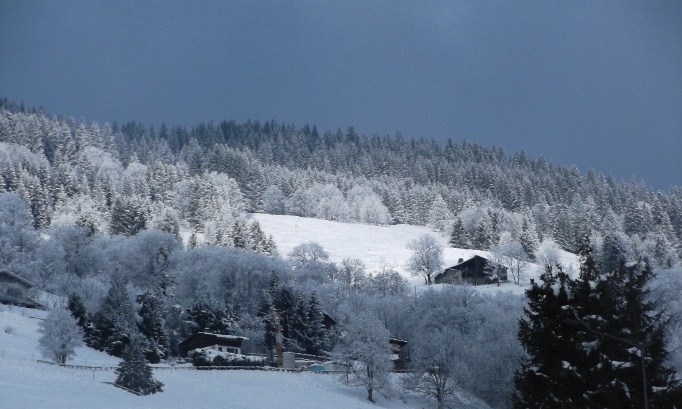 Megève : Non à la construction d'un ehpad et son parking sur 0,98 HA d'espaces naturels agricoles et forestiers !