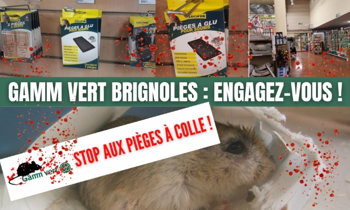 NON à la commercialisation de pièges à colle chez Gamm vert Brignoles !