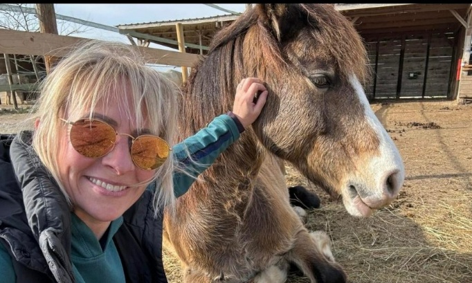 Justice pour Tom, poney empoisonné dans l'Hérault à Balaruc-le-Vieux