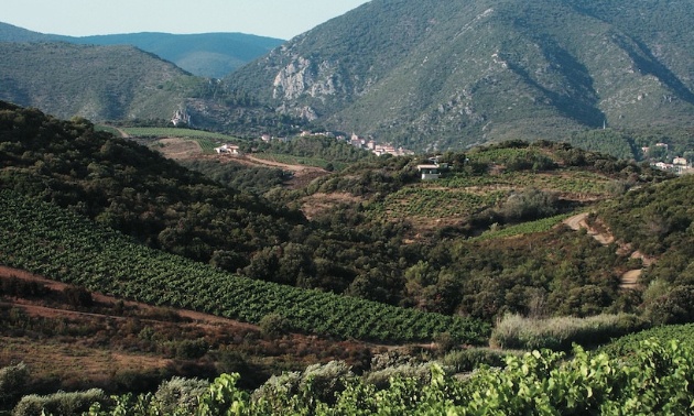 Empêchons le Parc Naturel Régional du Haut Languedoc...