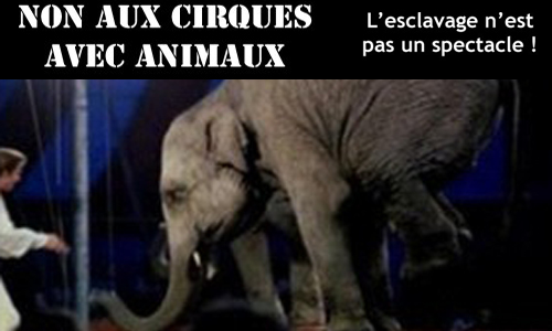 Non aux cirques avec animaux sur la communauté de communes du Havre