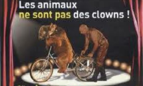 STOP aux cirques avec des animaux à Talmont 85