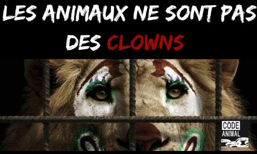 Stop aux cirques avec animaux à Erquy