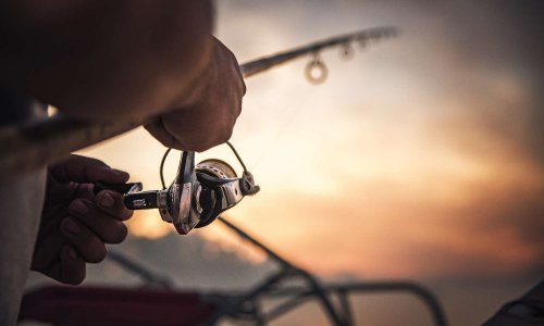 Non a la pêche pour les riches