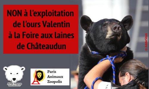 Contre l'exploitation de l'ours Valentin à la Foire aux Laines de Châteaudun (28) les 6 et 7 juillet 2019.