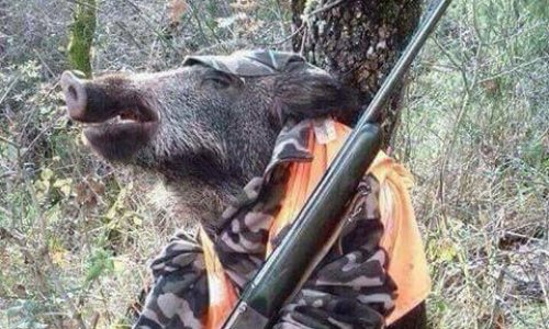 Bannir la chasse en France