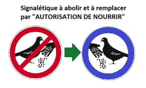 Pourquoi il ne faut pas nourrir les oiseaux sauvages - Ville de Paris