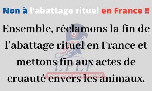 Non à l'abattage rituel en France !!