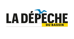  Bassin d'Arcachon. Pour gracier les pigeons, une pétition qui cartonne sur le net !